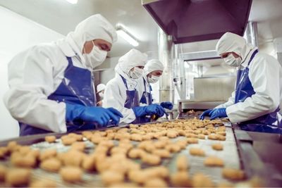 Control de Plagas Rincón de la Victoria Industria Alimentaria