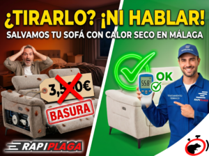 Tratamiento térmico contra chinches RapiPlaga