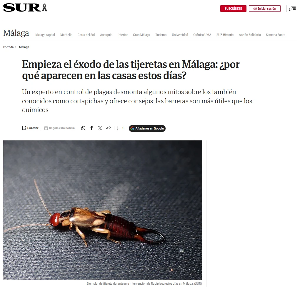 Reportaje de Diario SUR sobre el éxodo de tijeretas en Málaga con foto de una intervención de RapiPlaga